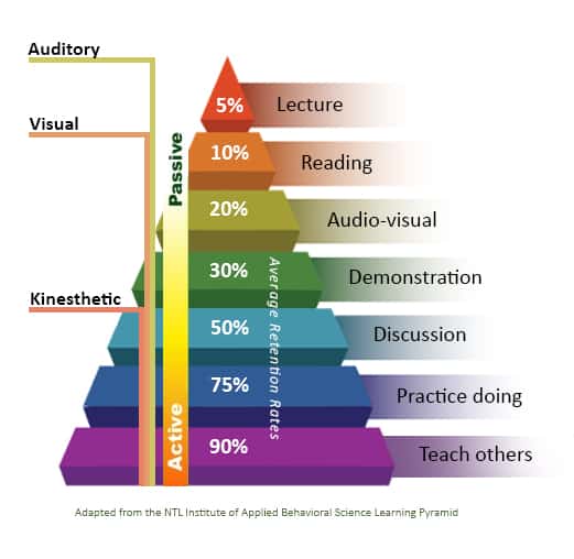 How science can make your learning 50% easier? - Global Village Space