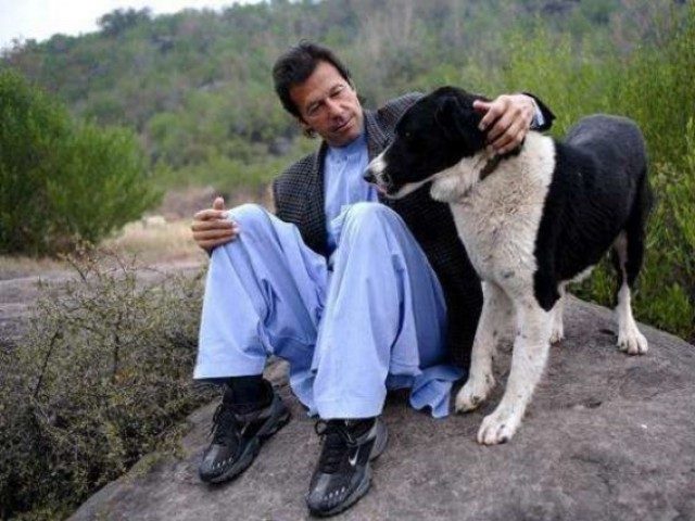 imran-khans-pet-dog-likely-to-get-wikipedia-pages