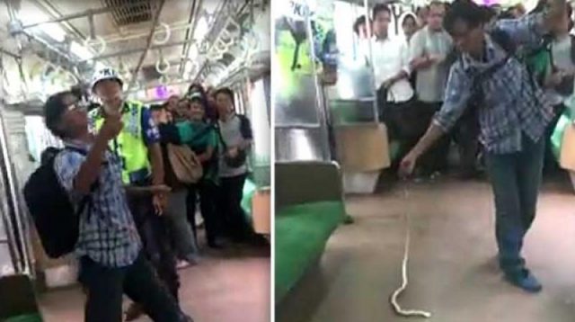 indonesian-kills-snake-with-bare-hands-on-train