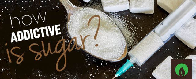 is-sugar-really-addictive