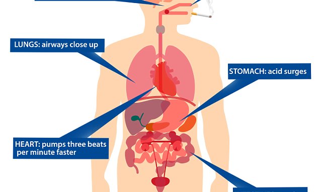 one-cigarette-a-day-exhibits-high-heart-attack-risk