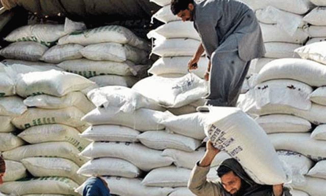 Pakistan Cement exports surge as it shows highest capacity utilization