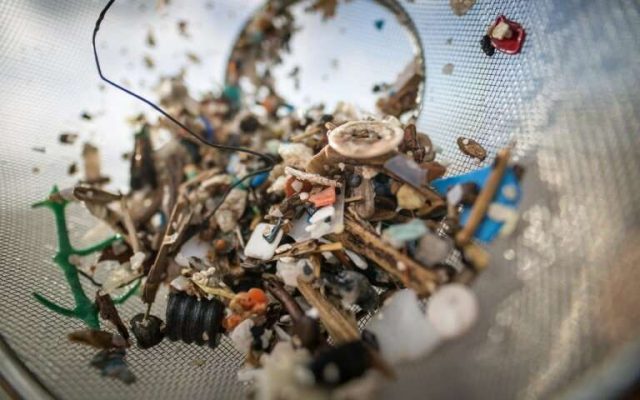 plastic-found-in-deepest-oceans-animals