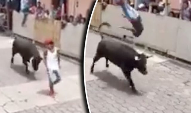 raging-bull-about-to-take-over-saudi-arabia