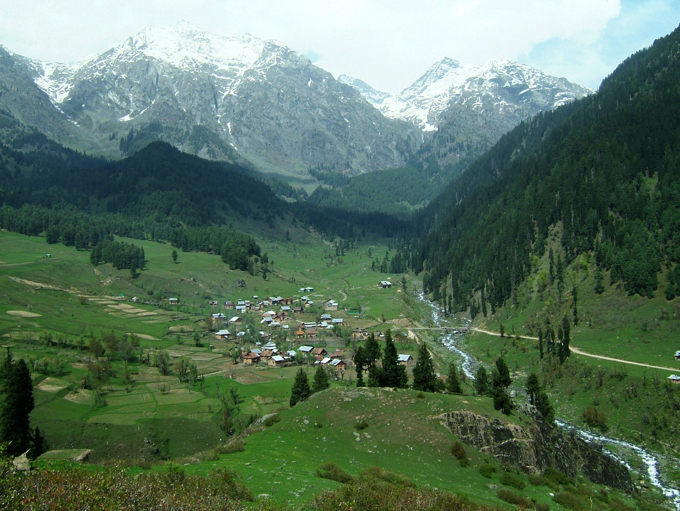 kashmir