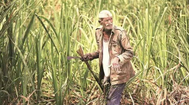 sugarcane-farmers-call-off-protest-after-shehbaz-assurance