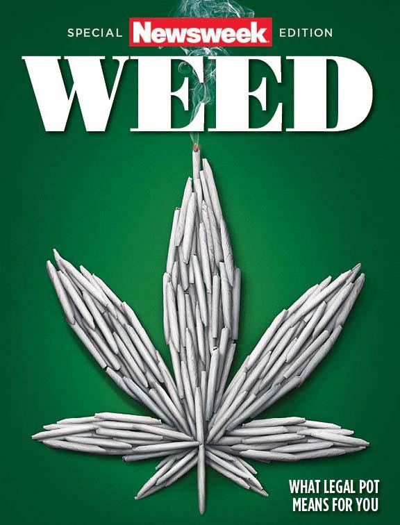 time-to-pluck-pakistans-political-weeds