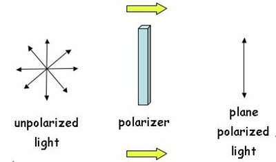 polarization