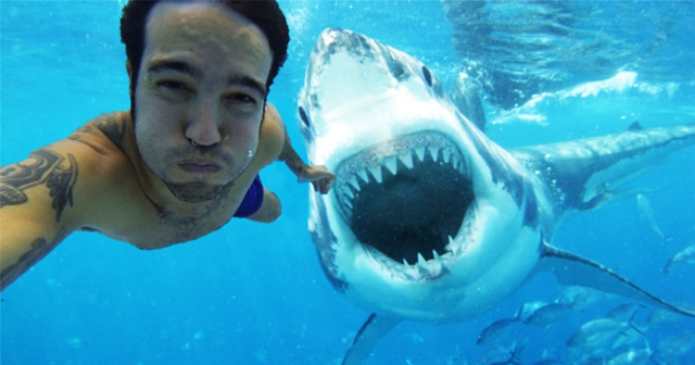 Selfies are five times more deadly than shark attacks Selfies