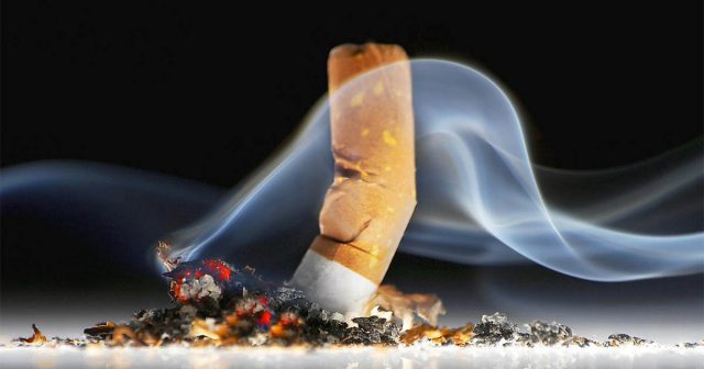 Cigarette butts are the forgotten plastic pollution – and they could be killing our plants Cigarette