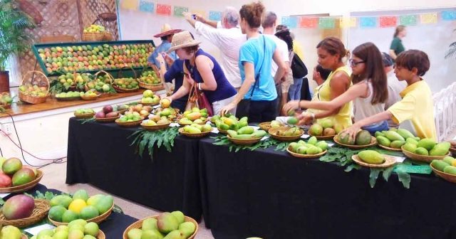 PAKISTAN HOSTS ONE OF THE LARGEST MANGO FESTIVALS IN DUBAI Pakistan