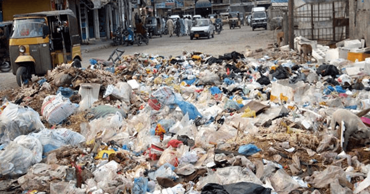 Lahore High Court imposes ban on use of polythene bags