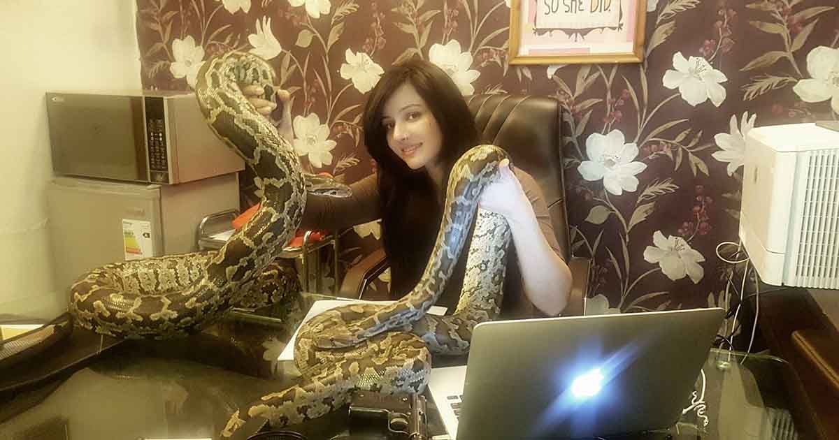 Rabi Pirzada