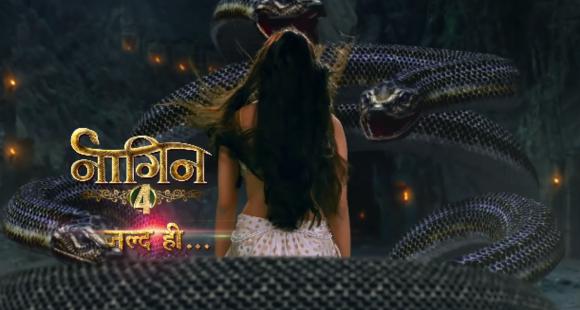 Naagin four pushed to December owing to THIS purpose Find Out – PINKVILLA