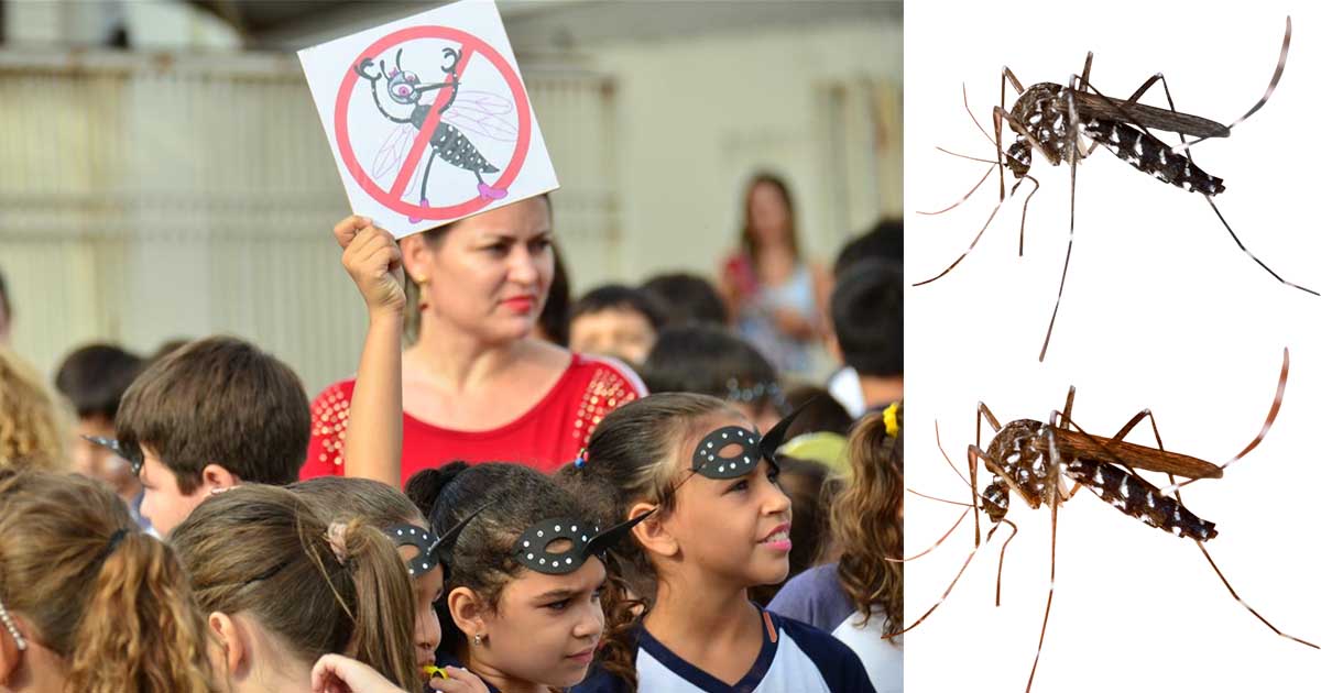 Dengue Outbreak Grips Peru Amidst El Niño Impact