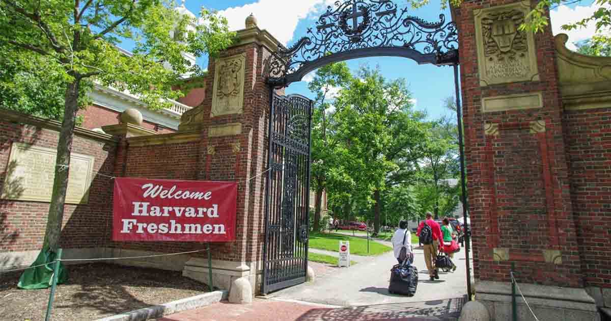 Harvard's Investigation into Plagiarism Accusations Against Former President Reveals Findings