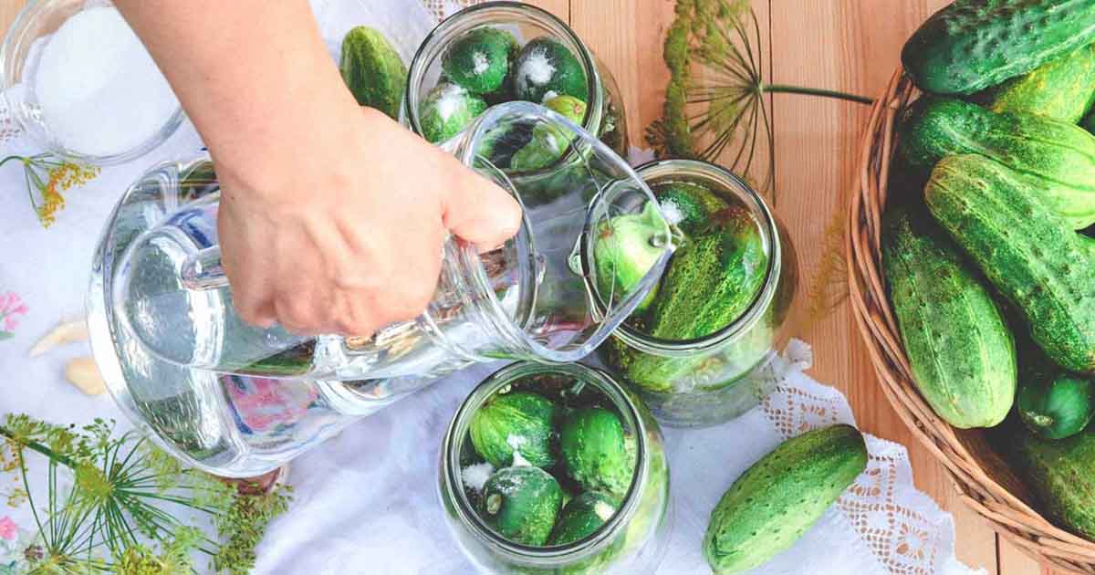 Cucumbers