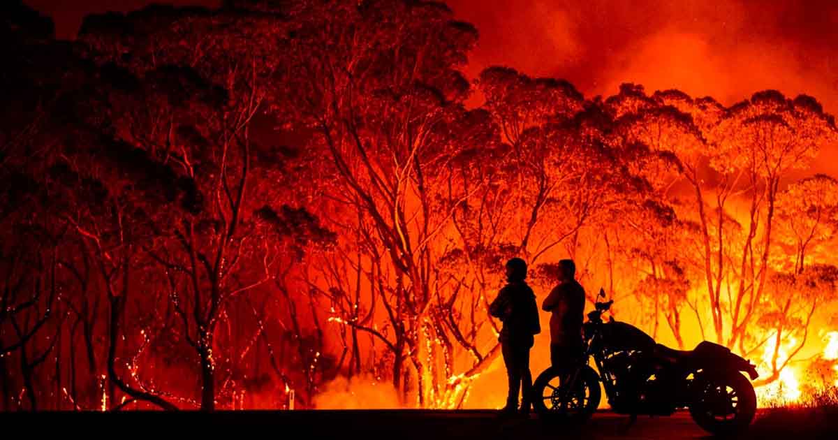 bushfire