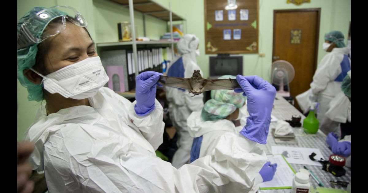 Coronavirus leaked from Wuhan Lab