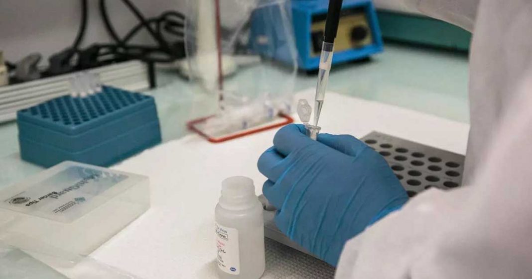 Scientists hunt genetic key