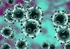 Second global wave of coronavirus