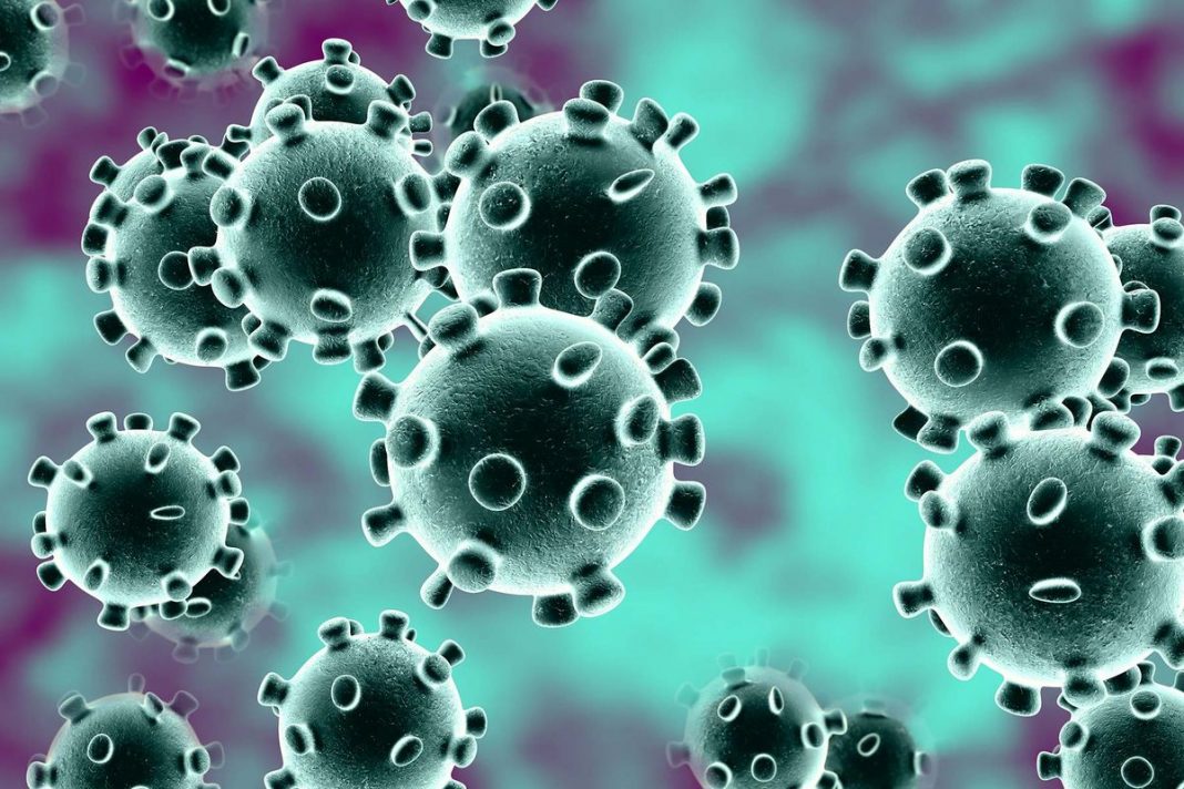 Second global wave of coronavirus