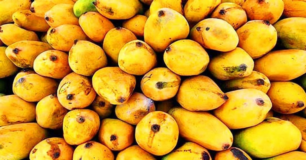 Japan export mango Pakistan