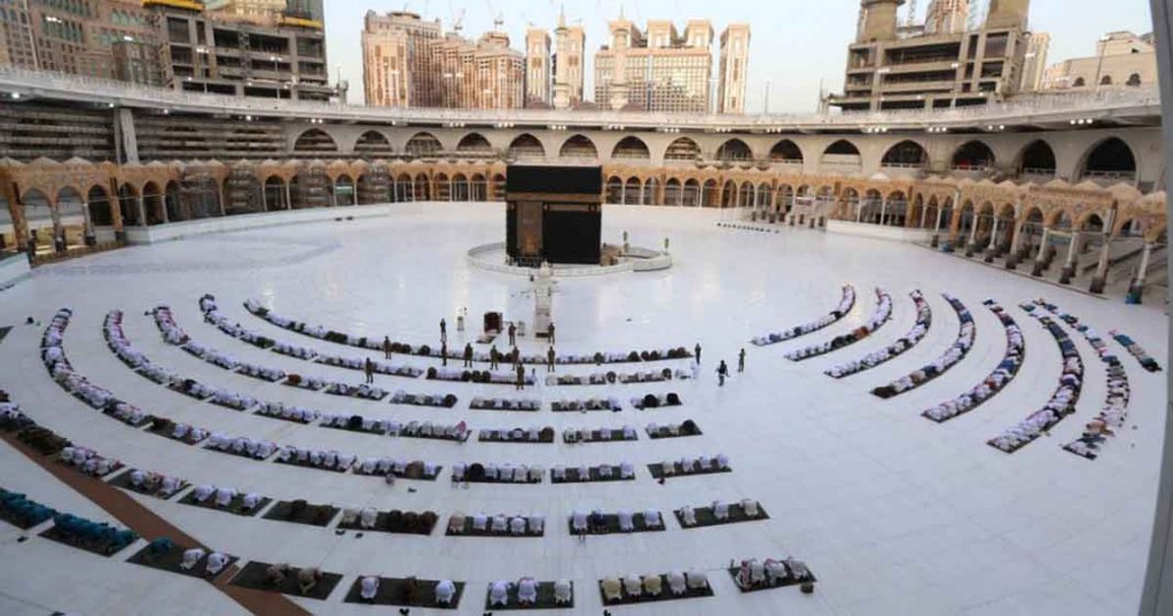 Saudi coronavirus cases