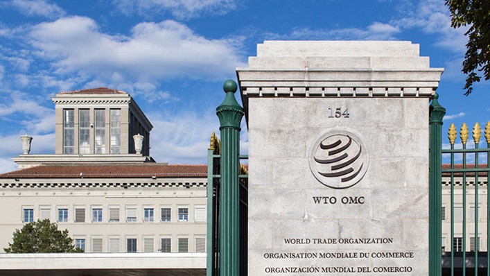 New WTO Chief