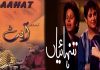 Pakistani serials Arabic dubbing