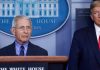 Trump fauci virus surges