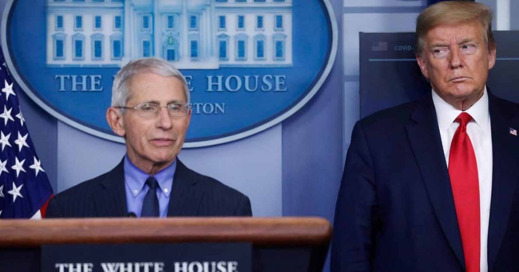 Trump fauci virus surges