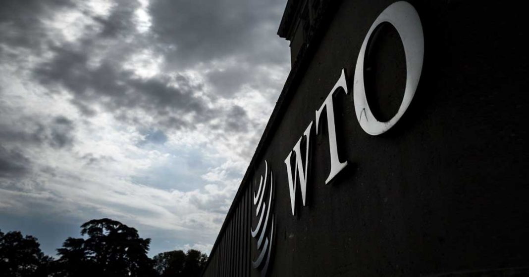 WTO contenders for leadership