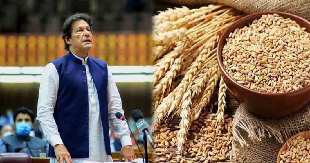 crackdown on wheat mafia