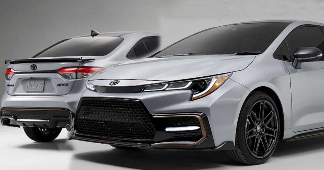 Toyota Corolla Apex 2021