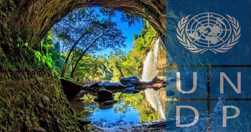 UNDP reset plan post COVID-19