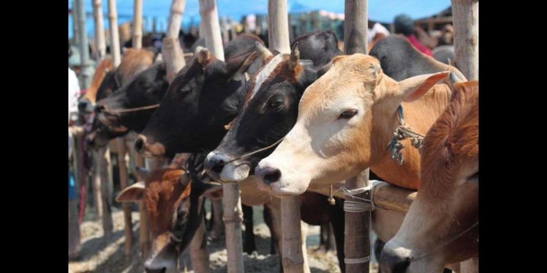 SOPs to observe Eidul Azha