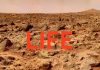 Life on Mars