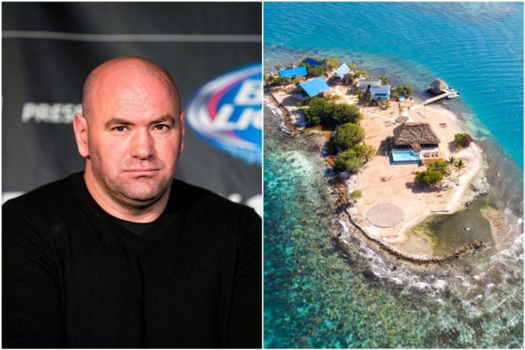 fighting on fight island