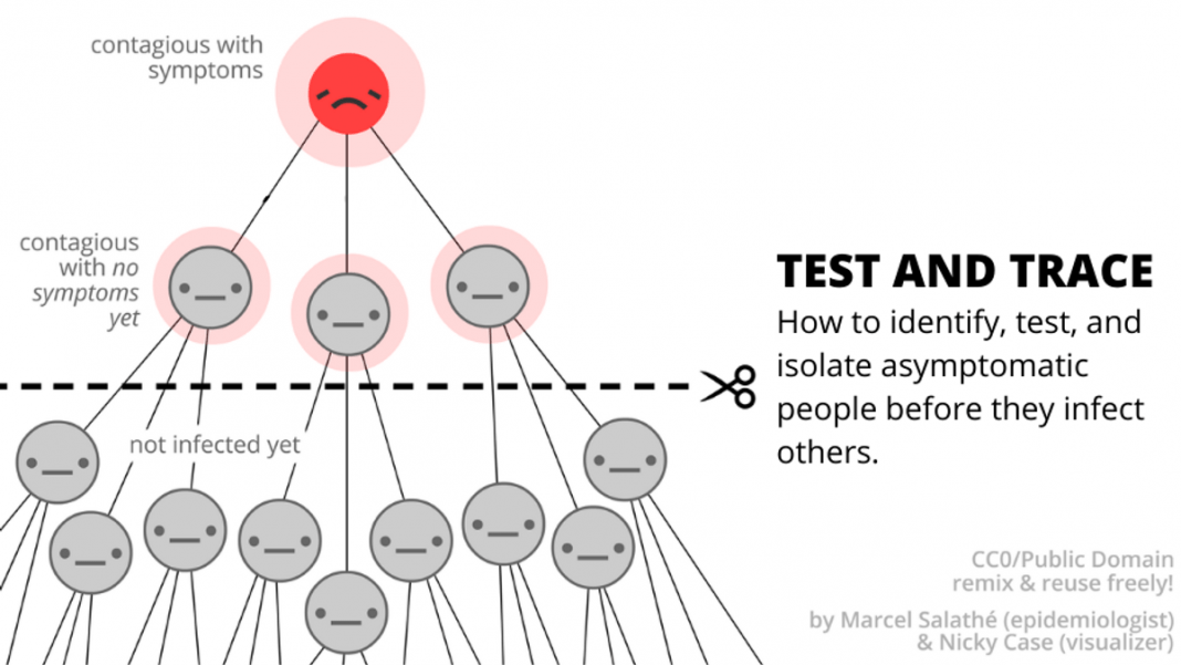 test and trace COVID-19