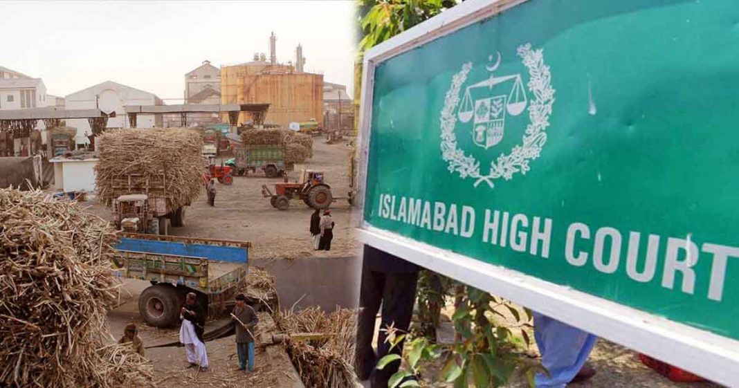 government to act against mafia