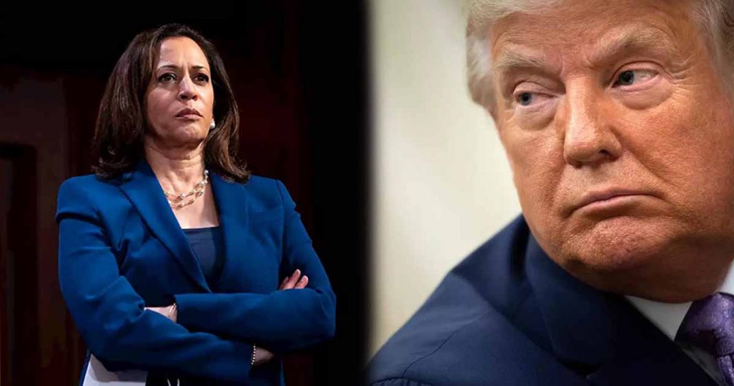 Kamala birther theory