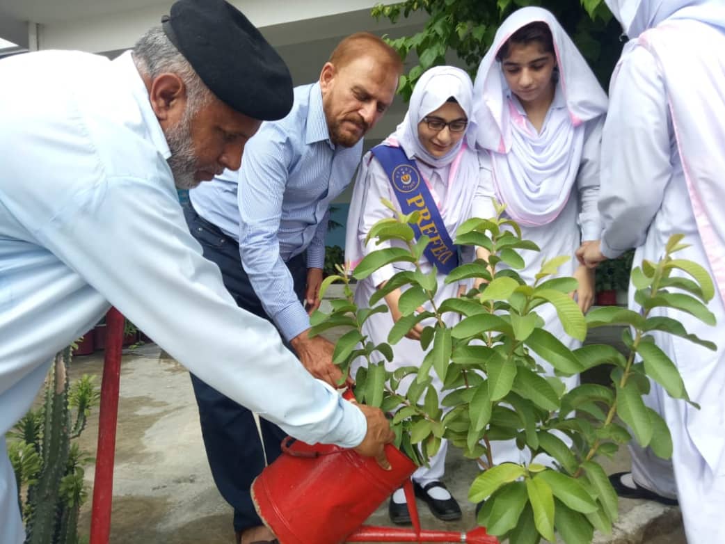 fauji cement plantation drive