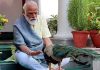 Modi busy with peacocks