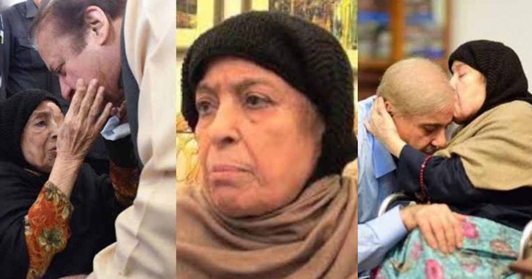 Twitterati exposed Maryam Nawaz