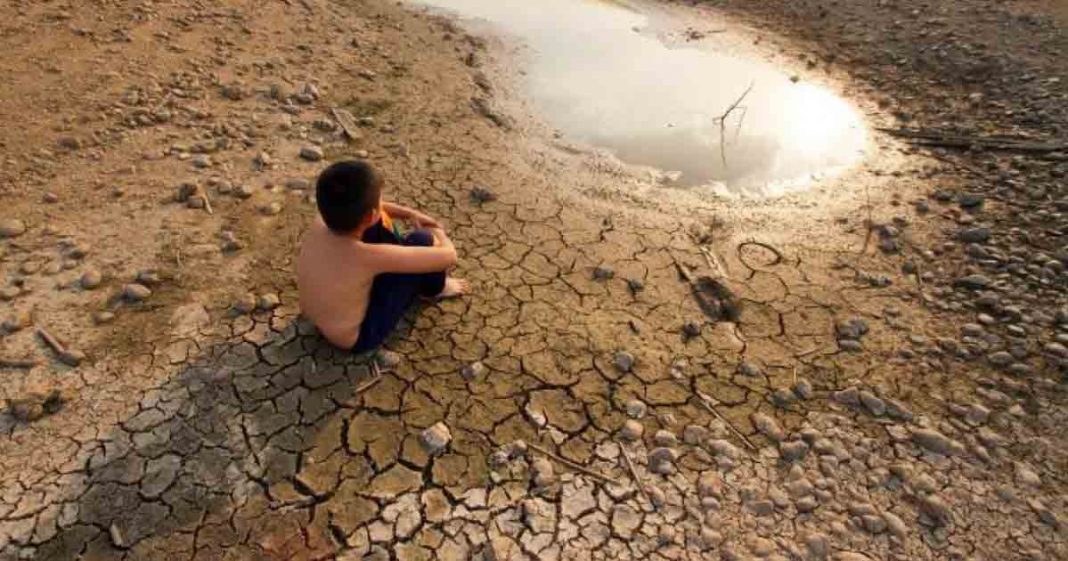 climate change effects