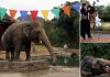 Kaavan to Cambodia