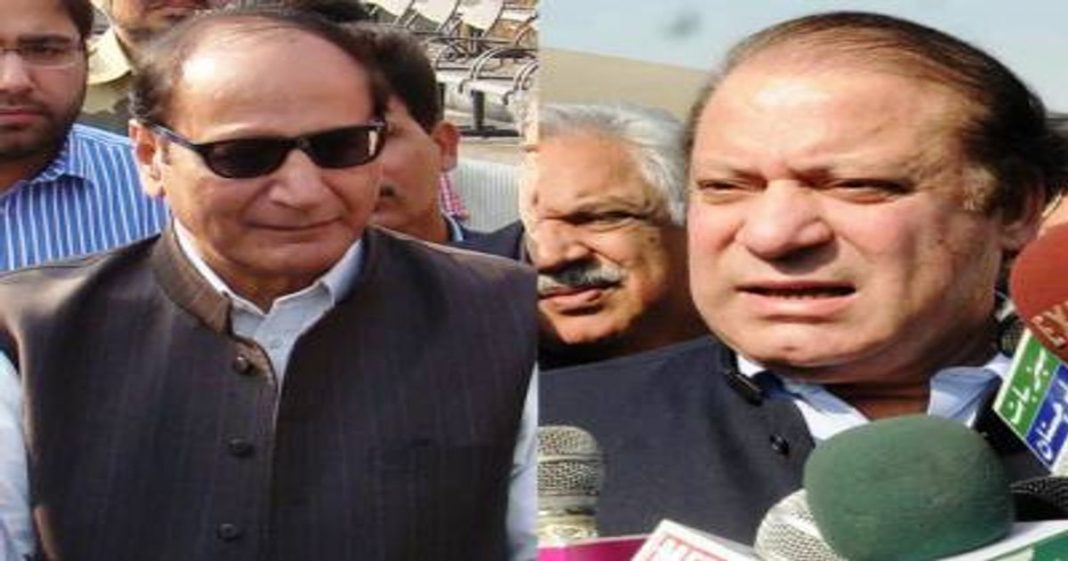 Freemasons of Democracy