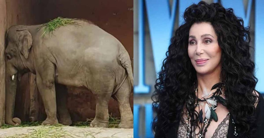 Cher shares her experience of Pakistan