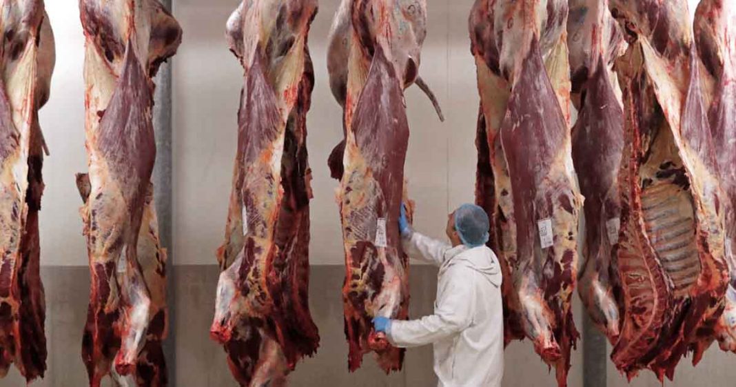 Israel condemns slaughter ruling